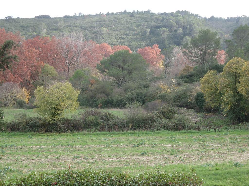 Appart'17-Domaine De La Source Uzès Rom bilde