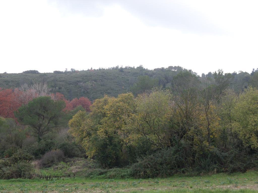 Appart'17-Domaine De La Source Uzès Eksteriør bilde